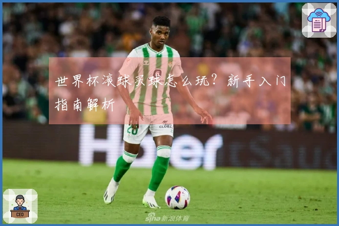 世界杯滚球买球怎么玩？新手入门指南解析