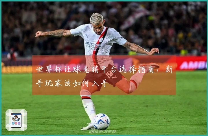 世界杯让球竞猜平台选择指南，新手玩家该如何入手
