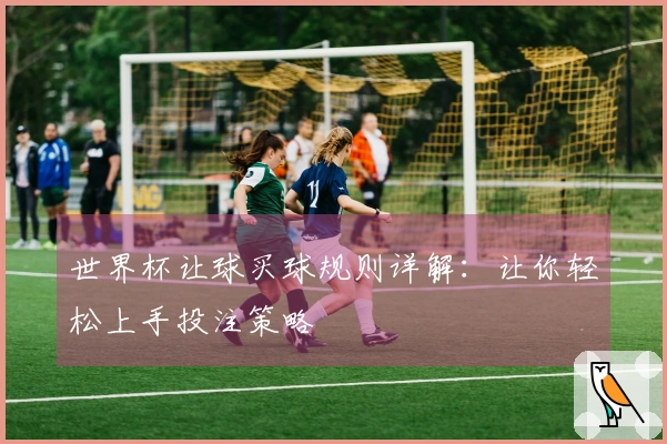 世界杯让球买球规则详解：让你轻松上手投注策略