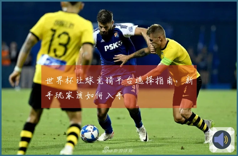 世界杯让球竞猜平台选择指南，新手玩家该如何入手