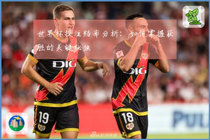 世界杯投注赔率分析：如何掌握获胜的关键秘诀