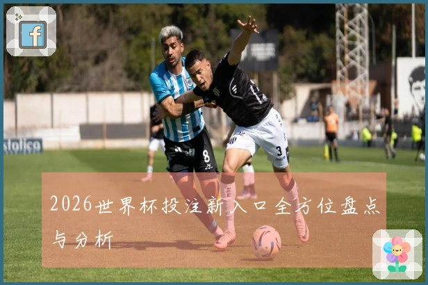 2026世界杯投注新入口全方位盘点与分析