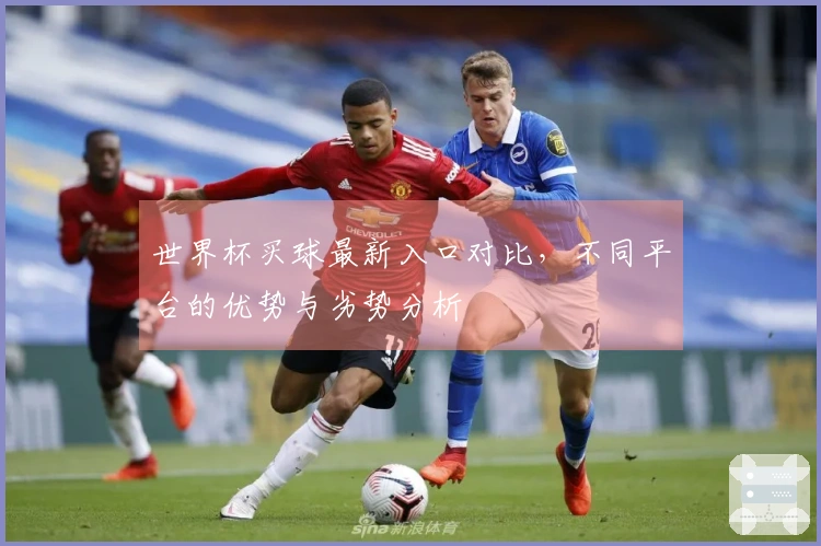 世界杯买球最新入口对比，不同平台的优势与劣势分析