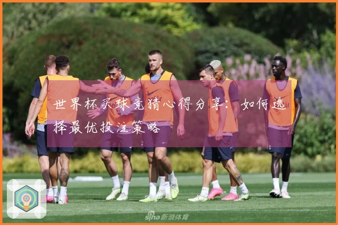 世界杯买球竞猜心得分享：如何选择最优投注策略