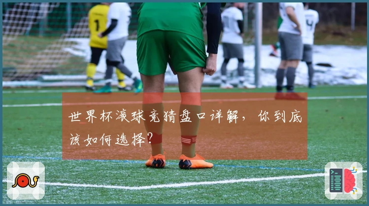 世界杯滚球竞猜盘口详解，你到底该如何选择？