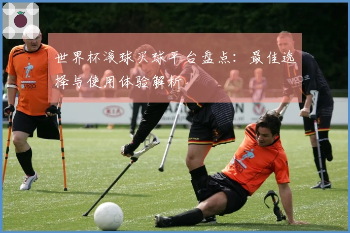 世界杯滚球买球平台盘点：最佳选择与使用体验解析