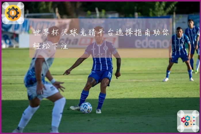 世界杯买球竞猜平台选择指南助你轻松下注