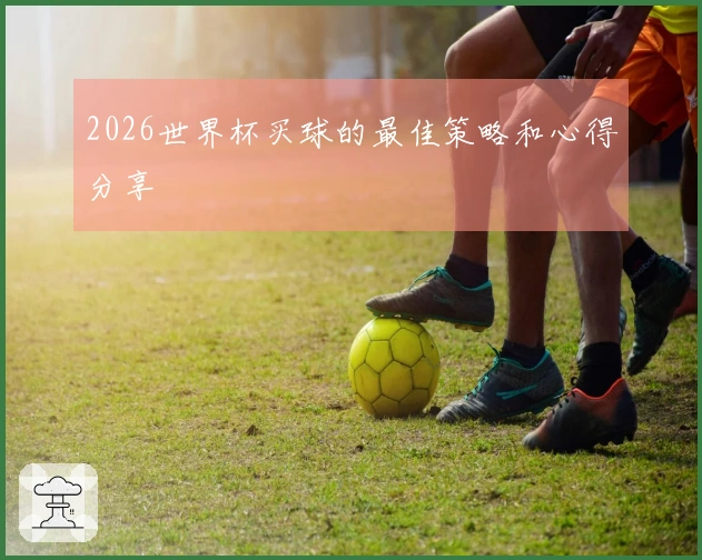2026世界杯买球的最佳策略和心得分享