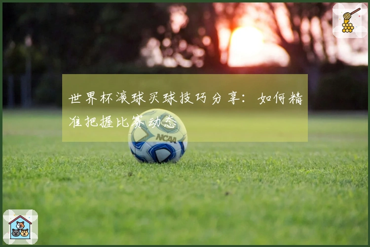 世界杯滚球买球技巧分享：如何精准把握比赛动态