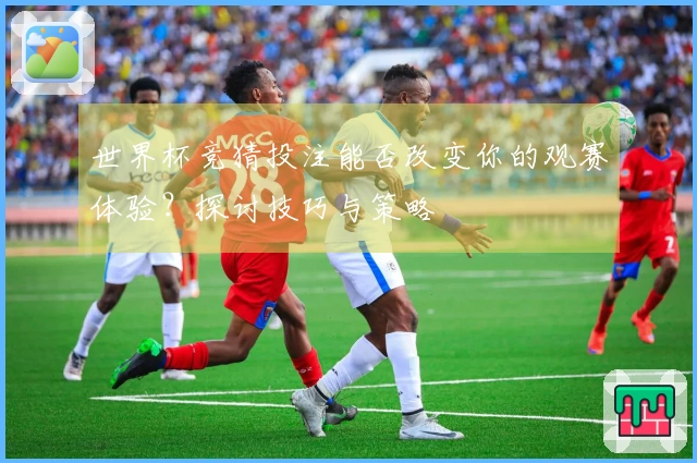 世界杯竞猜投注能否改变你的观赛体验？探讨技巧与策略
