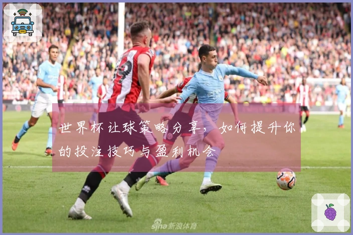 世界杯让球策略分享，如何提升你的投注技巧与盈利机会