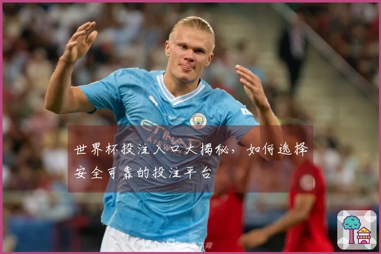 世界杯投注入口大揭秘，如何选择安全可靠的投注平台