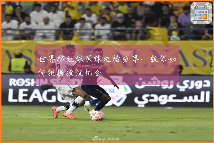 世界杯让球买球经验分享，教你如何把握投注机会