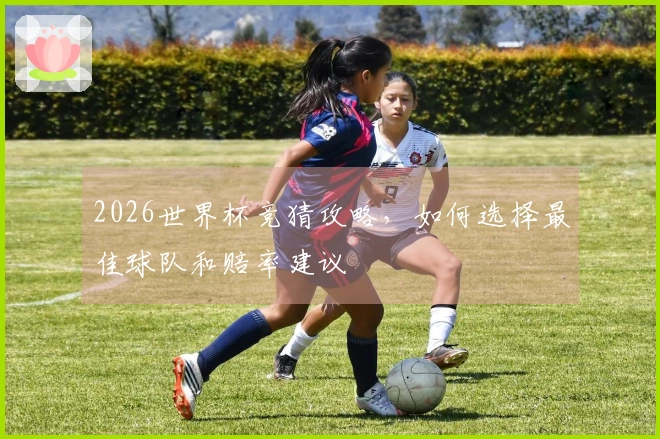 2026世界杯竞猜攻略，如何选择最佳球队和赔率建议