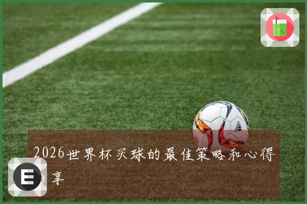 2026世界杯买球的最佳策略和心得分享