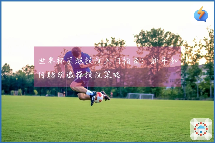 世界杯买球投注入门指南：新手如何聪明选择投注策略