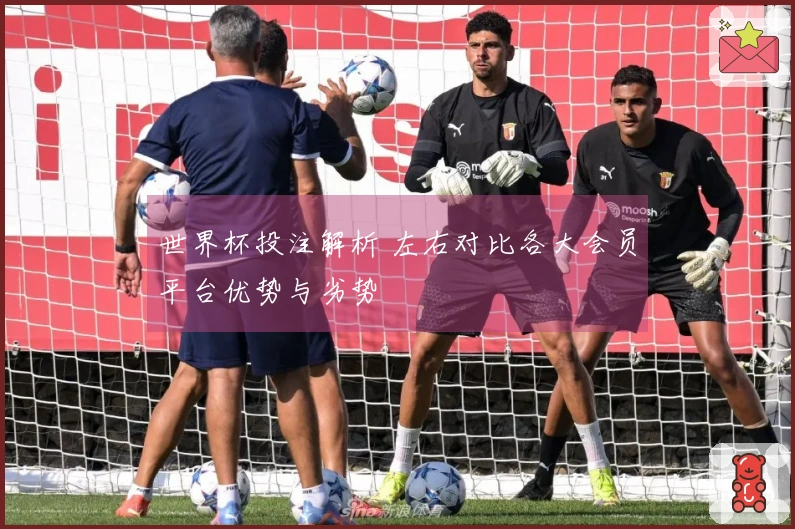 世界杯投注解析 左右对比各大会员平台优势与劣势