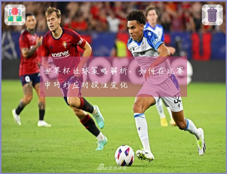 世界杯让球策略解析，如何在比赛中巧妙应对投注变化
