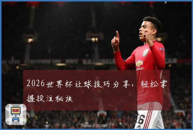 2026世界杯让球技巧分享，轻松掌握投注秘诀