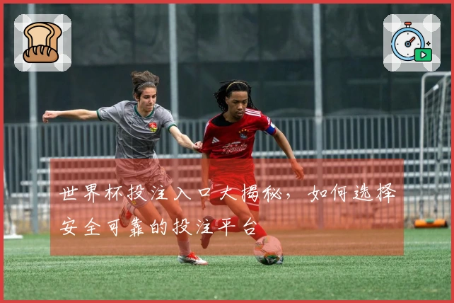 世界杯投注入口大揭秘，如何选择安全可靠的投注平台