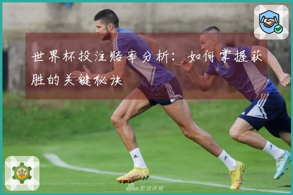 世界杯投注赔率分析：如何掌握获胜的关键秘诀