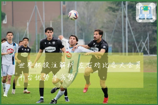 世界杯投注解析 左右对比各大会员平台优势与劣势