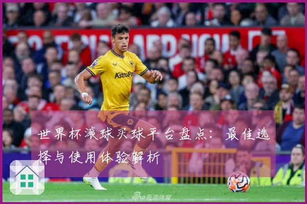 世界杯滚球买球平台盘点：最佳选择与使用体验解析